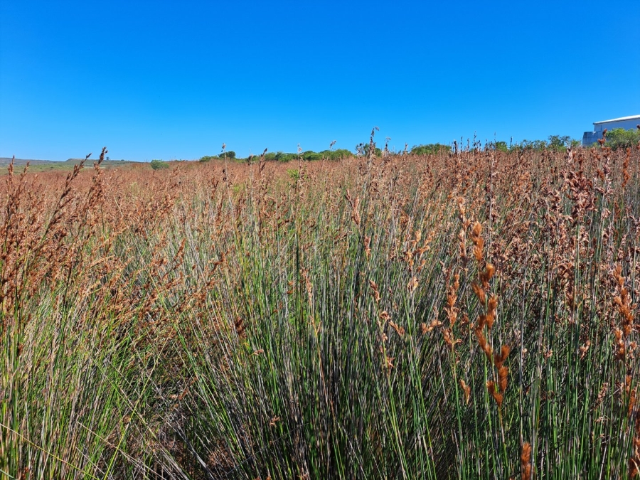  Bedroom Property for Sale in Riversdale Rural Western Cape